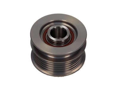 Dispositivo ruota libera alternatore