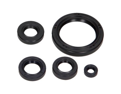 ZESTAW USZCZELNIACZY OLEJOWYCH SILNIKA KPL. MOTO. HONDA TRX XX 2008-2009 (5EL.)