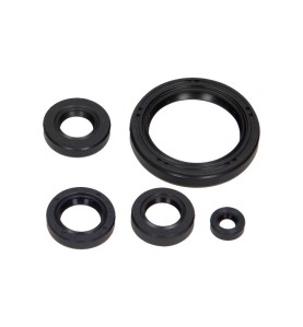 ZESTAW USZCZELNIACZY OLEJOWYCH SILNIKA KPL. MOTO. HONDA TRX XX 2008-2009 (5EL.)