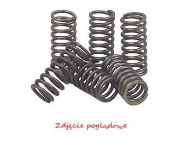 SPRYNY SPRZGOWE MOTO. KTM DUKE 125 (11-13)