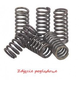 SPRYNY SPRZGOWE MOTO. KTM DUKE 125 (11-13)