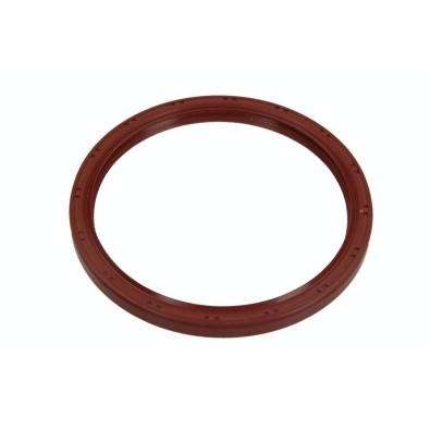 Paraolio