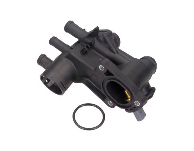 Carter del termostato