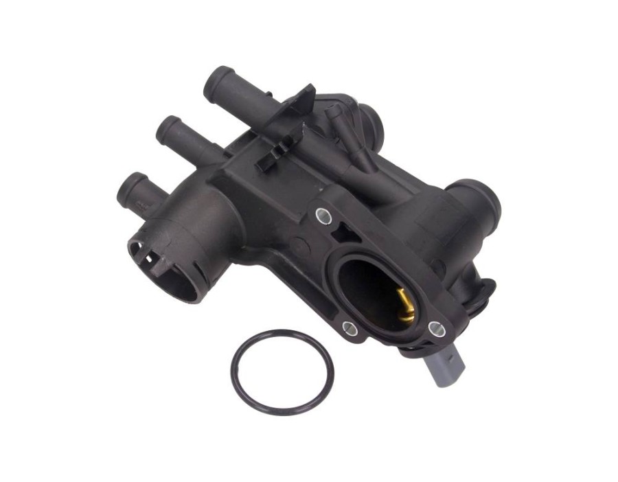 Carter del termostato