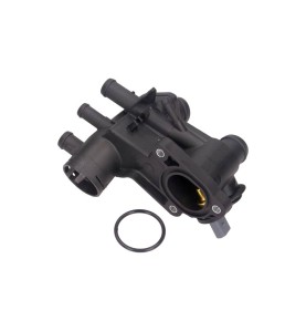 Carter del termostato