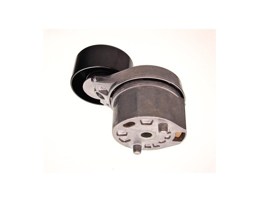 Braccio tenditore, Cinghia Poly-V
