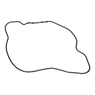 USZCZELKA POKRYWY ALTERNATORA MOTO. HONDA TRX 400 FW 1995-2003 (1EL.)