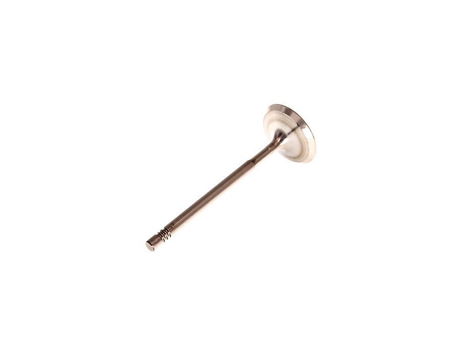 CINGHIA POLY-V_PVWG131