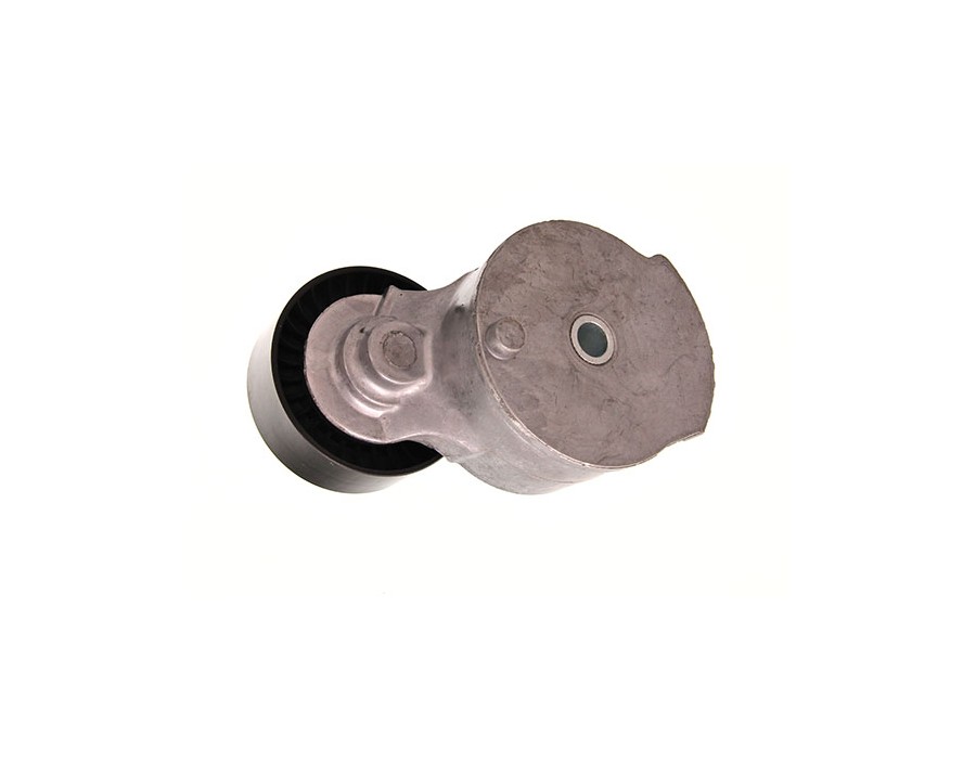 Braccio tenditore, Cinghia Poly-V