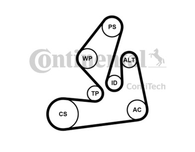 Kit Cinghie Poly-V