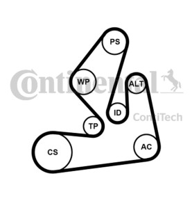 Kit Cinghie Poly-V