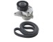 Kit Cinghie Poly-V