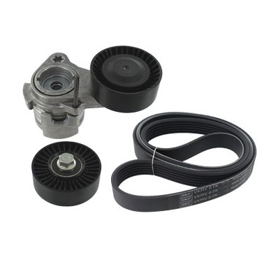 Kit Cinghie Poly-V