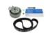 Kit cinghie dentate