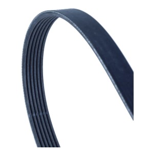 Cinghia Poly-V
