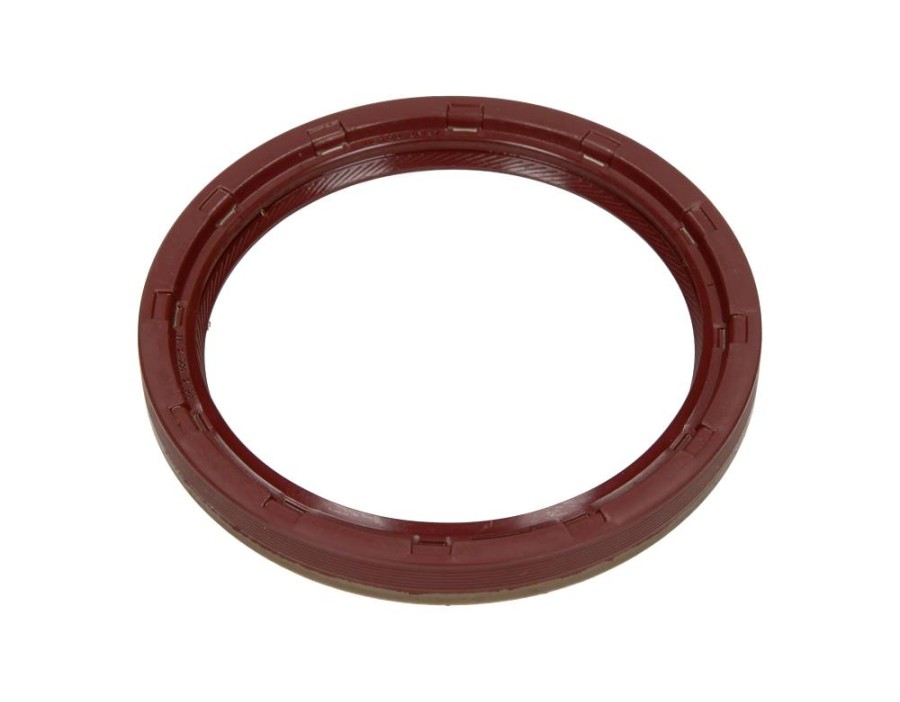 CINGHIA POLY-V_81-26249-00