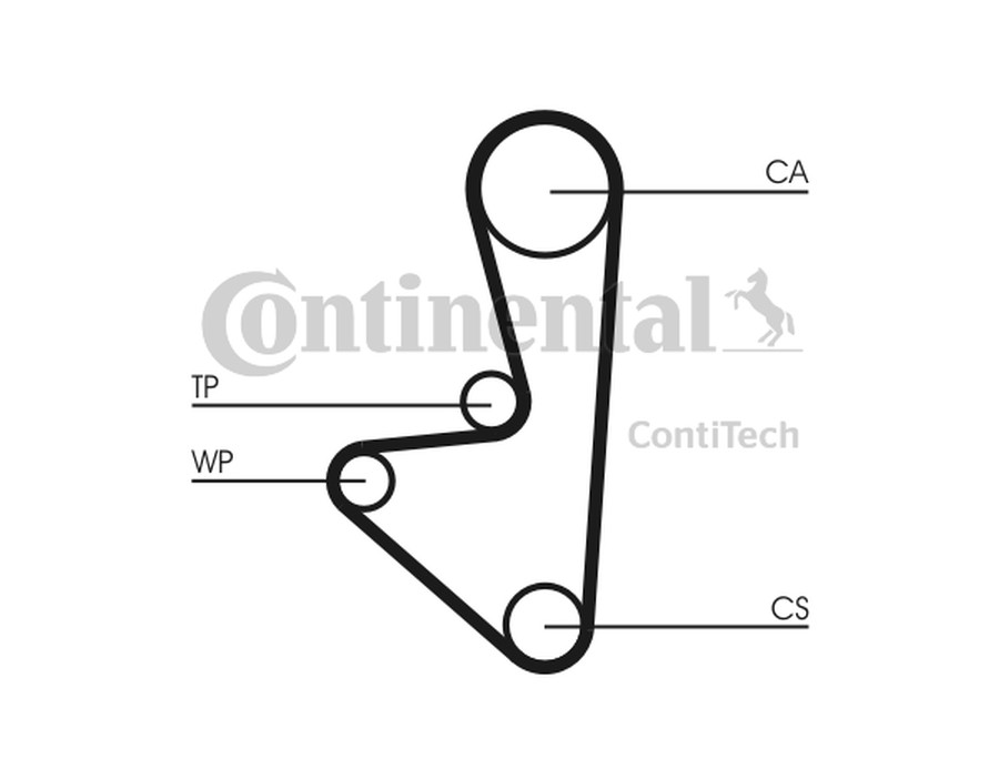 CINGHIA DENTATA_CT744