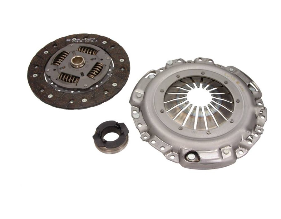 PARAOLIO, ALBERO A CAMME_622062300