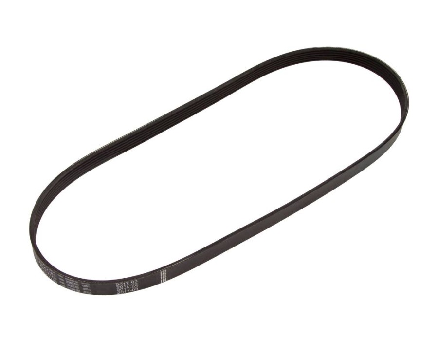 CINGHIA POLY-V_1987947946