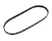 CINGHIA POLY-V_1987947946