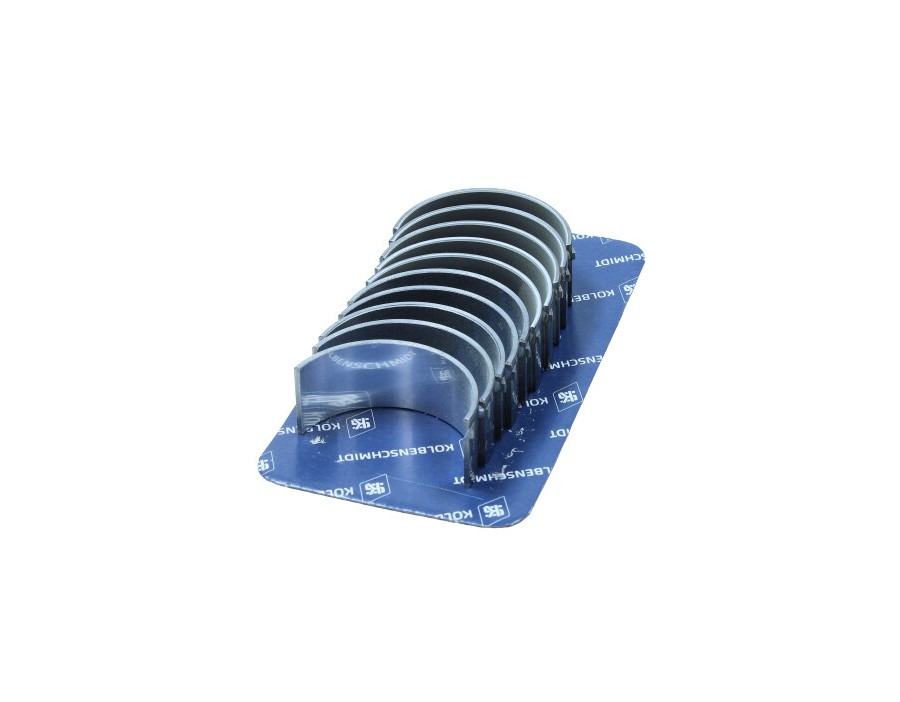 CINGHIA POLY-V_77219600