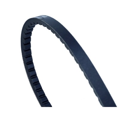 Cinghia trapezoidale