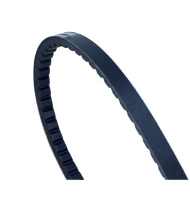 Cinghia trapezoidale