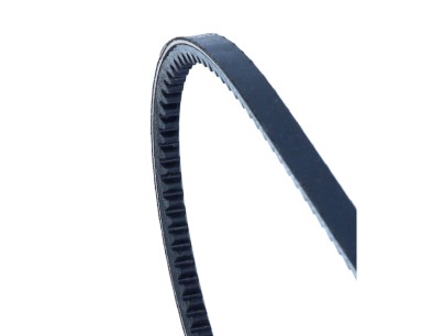 Cinghia trapezoidale