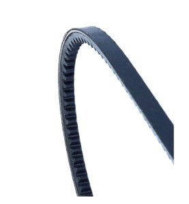 Cinghia trapezoidale