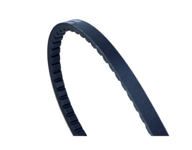 Cinghia trapezoidale