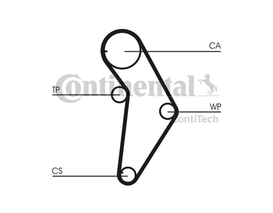 PARAOLIO, ALBERO A CAMME_CT973