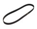 Cinghia Poly-V