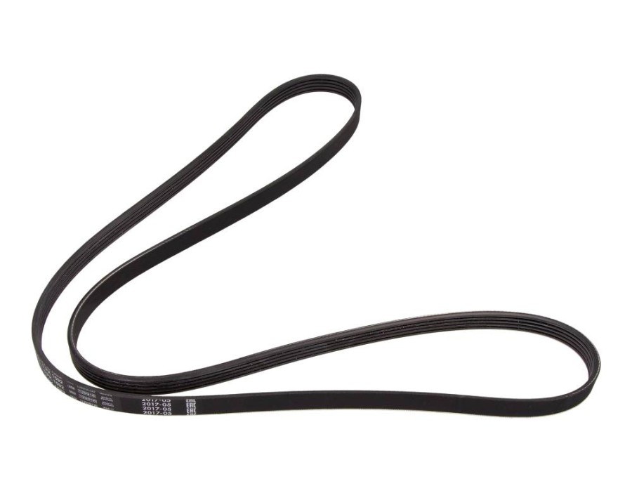 CINGHIA POLY-V_1987946022