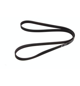 Cinghia Poly-V
