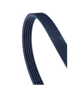 Cinghia Poly-V