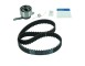 Kit cinghie dentate
