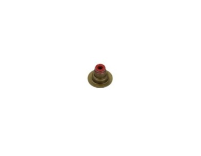 Anello tenuta, Stelo valvola