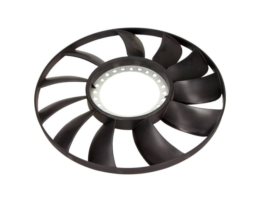 GALOPPINO/GUIDACINGHIA, CINGHIA DENTATA_110294755