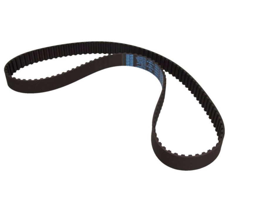 CINGHIA DENTATA_94405