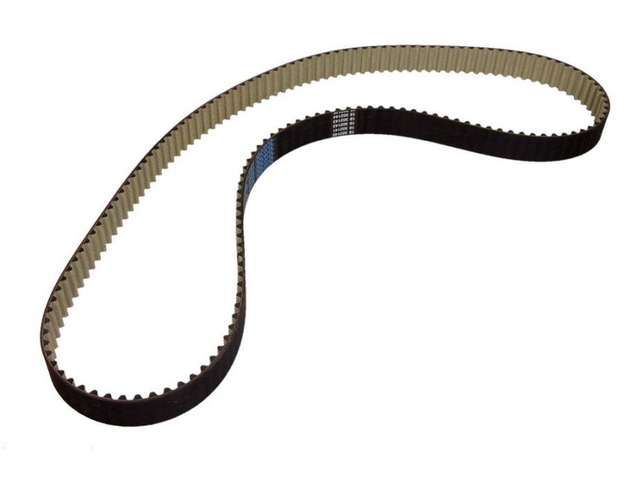 CINGHIA POLY-V_94949