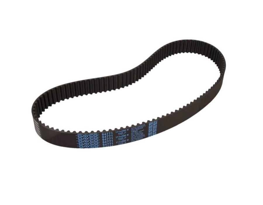 GALOPPINO/GUIDACINGHIA, CINGHIA POLY-V_94771