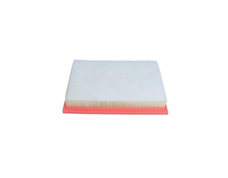 CINGHIA POLY-V_AF-9790