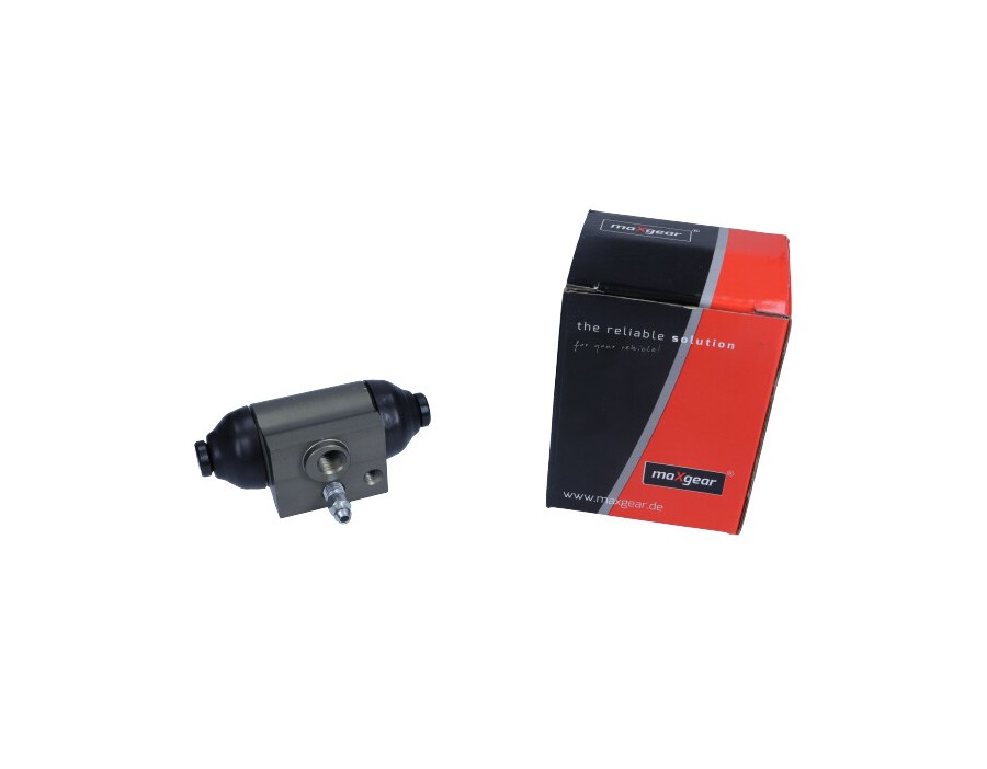 CINGHIA POLY-V_MGH-704