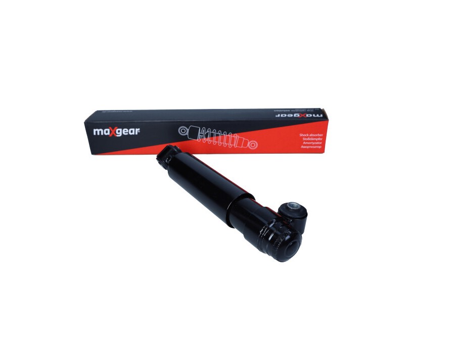 CINGHIA POLY-V_MGA-5540