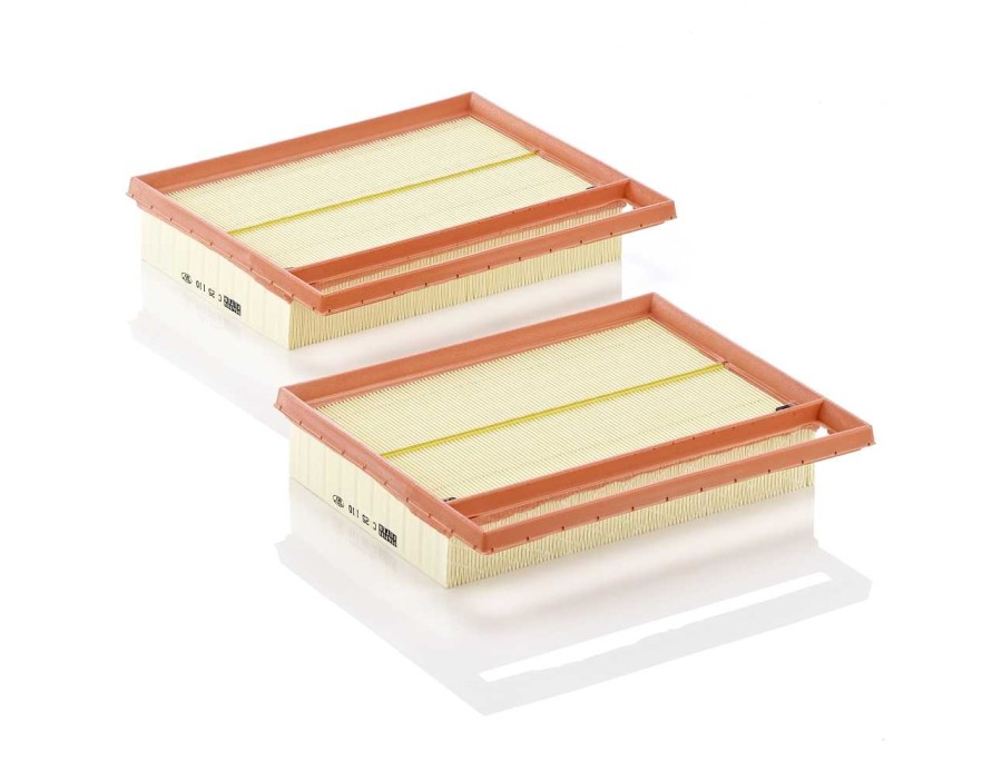 FILTRO ARIA_C25110-2