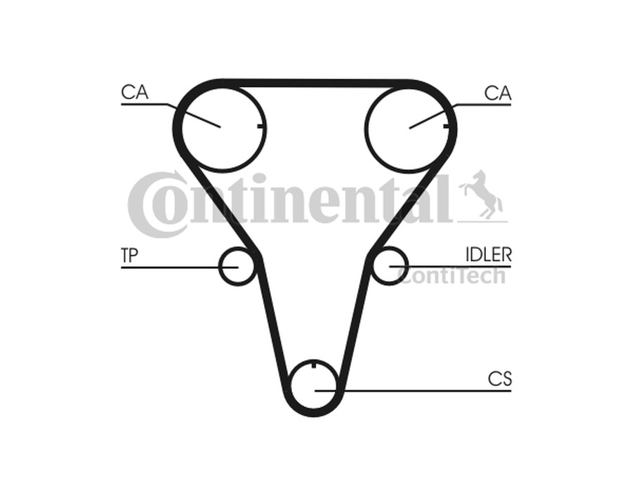 PARAOLIO, ALBERO A CAMME_CT1047K1
