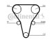PARAOLIO, ALBERO A CAMME_CT1047K1
