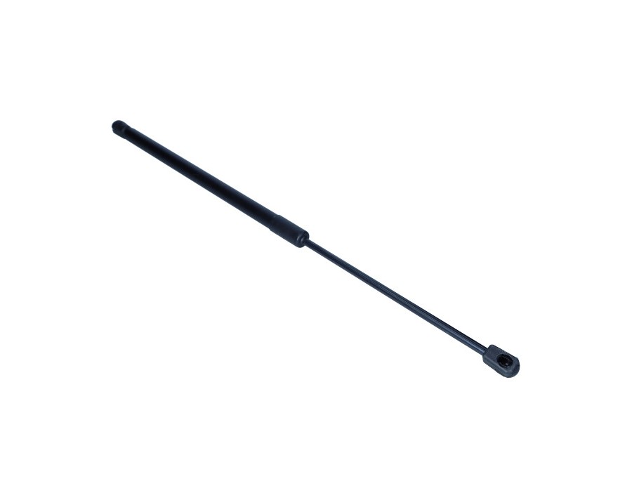 GALOPPINO/GUIDACINGHIA, CINGHIA DENTATA_12-0088