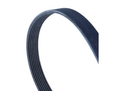 Cinghia Poly-V
