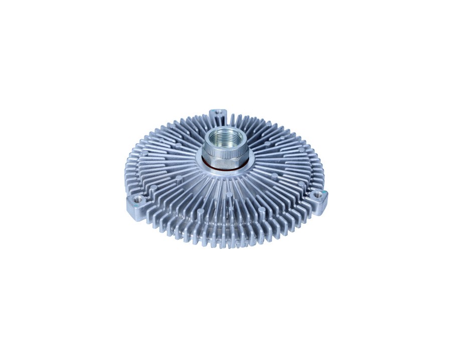 GALOPPINO/GUIDACINGHIA, CINGHIA POLY-V_MGW-016